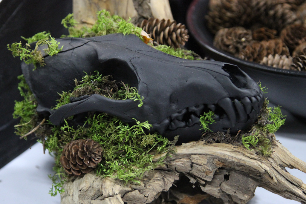 Painted Black Coyote on Driftwood - 018