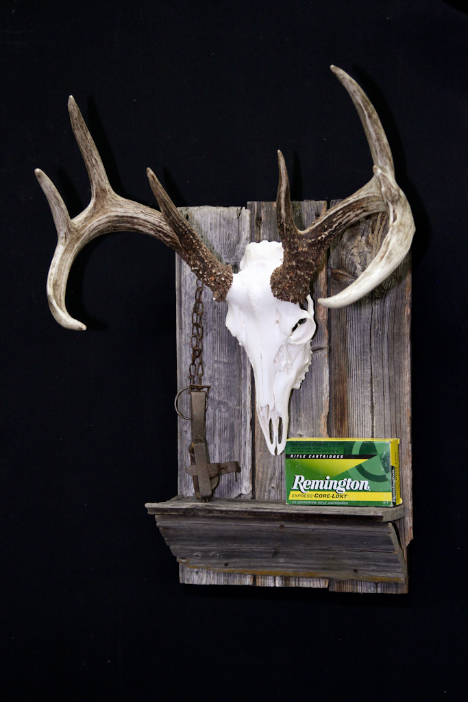 Whitetail Deer on Barn Board /w Display - 056