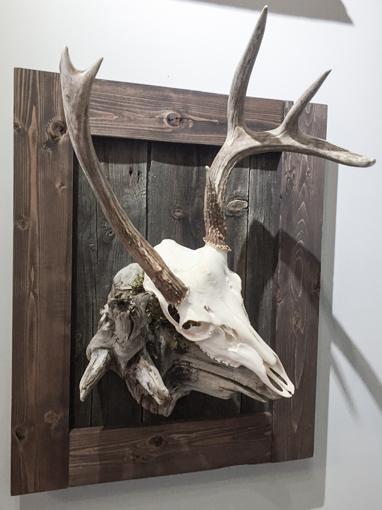Whitetail Deer on Driftwood & Barn Board Mount - 061