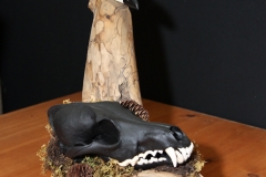 Painted Coyote /w Raven on Driftwood - 044