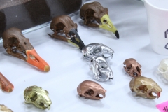 Geese, Chicken, Gophers - 007