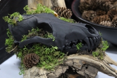 Painted Black Coyote on Driftwood - 018