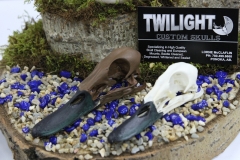 Painted Ducks on Natural - 020