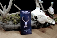 Deer on Driftwood - 024