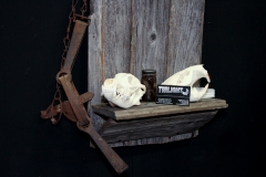 Coyote & Beaver on Barn Board - 027