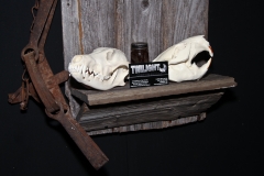 Coyote & Beaver on Barn Board - 031