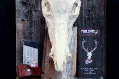 Wild Boar on Barn Board - 032