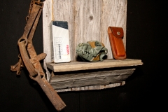 Painted Coyote on Barn Board - 034