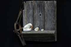 Beaver, Muskrat & Gopher - 048