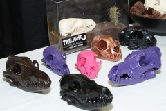 Painted Coyote, Fox (/w cactus in vase) & Lynx - 050