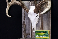 Whitetail Deer on Barn Board /w Display - 056