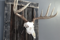 Whitetail Deer on Driftwood & Barn Board Mount - 064