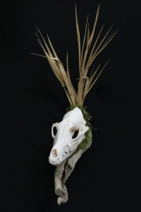 Twilight Custom Skulls - 006