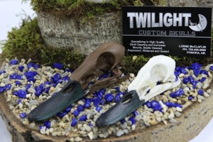 Twilight Custom Skulls - 020