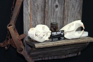 Twilight Custom Skulls - 026