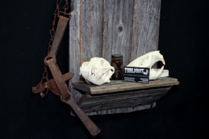 Twilight Custom Skulls - 027