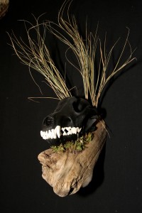 Twilight Custom Skulls - 033