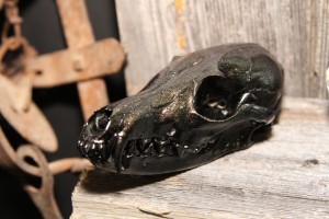 Twilight Custom Skulls - 038