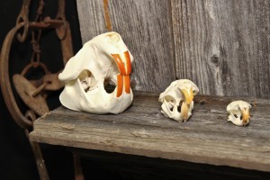 Twilight Custom Skulls - 039
