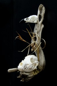 Twilight Custom Skulls - 046