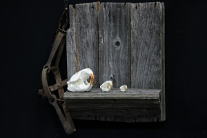 Twilight Custom Skulls - 048
