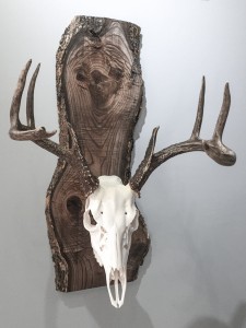 Twilight Custom Skulls - 062