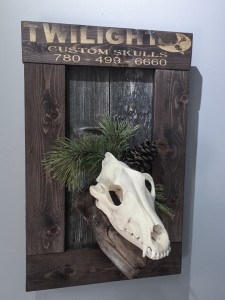 Twilight Custom Skulls - 063