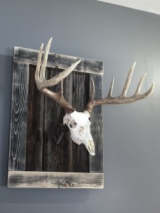 Twilight Custom Skulls - 064